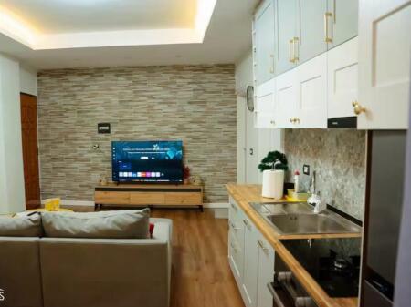 Apartment 2+1 for rent at Vila Gold