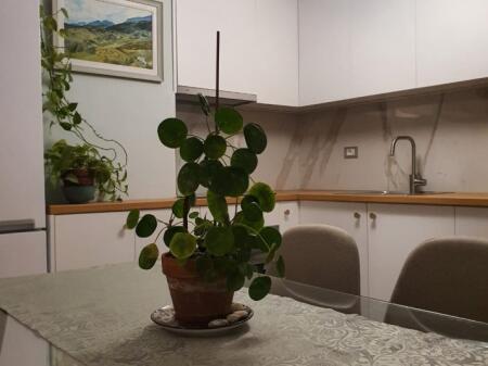 APARTAMENT 1+1 ME QIRA PRANE QYTET STUDENTI