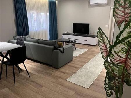 Apartament Me Qera 1+1 ne Farke ( ID B2101311) Tirane