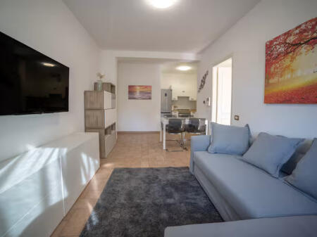 Apartment For Rent 1+1 In Astir (ID B2101312) Tirana