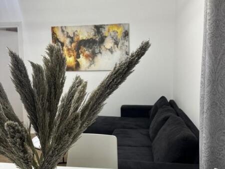 Jepet me qera apartament 1+1 tek Sheshi Willson