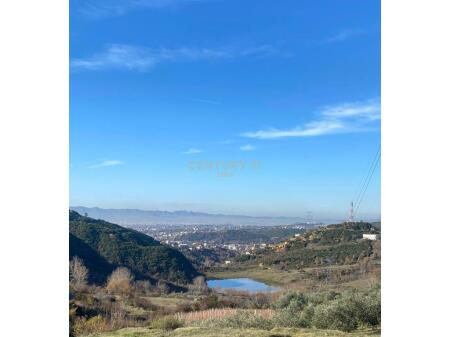 Shitet toke ne Shishtufine, Tirane