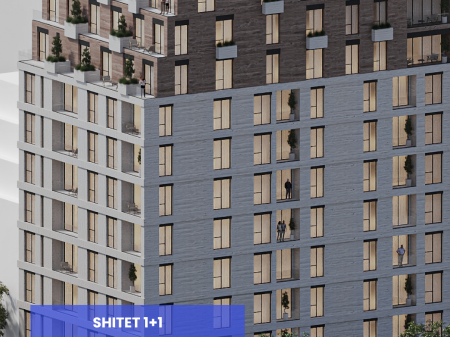SHITET 1+1 ISH-FUSHA AVIACIONIT