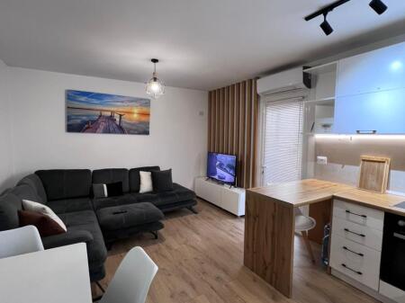 APARTMENT 1+1 FOR RENT NEAR THE BALLET SCHOOL