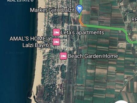 GJIRI  LALEZIT  , SHITET  TOKE  