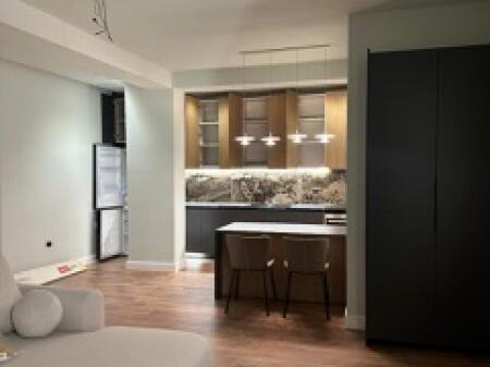 Luxurious 1+1 penthouse newly furnished modern for rent in Yzberisht