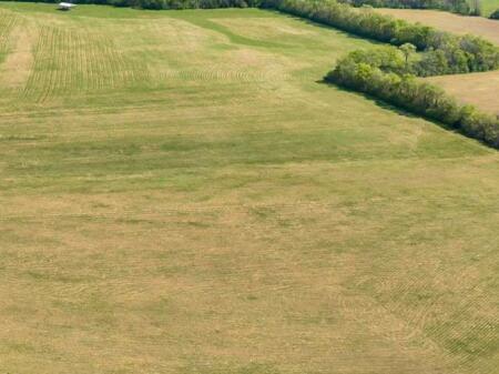 Ofrojm disa Ospsionesh Tokash me çerifikat pronësie për Shitje në Mëzez.