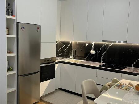 Jepet apartament me qira 1+1 Ali Demi