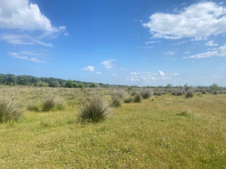 Shitet Tokë pranë Aeroportit të Ri të Vlorës – Pozicion Strategjik