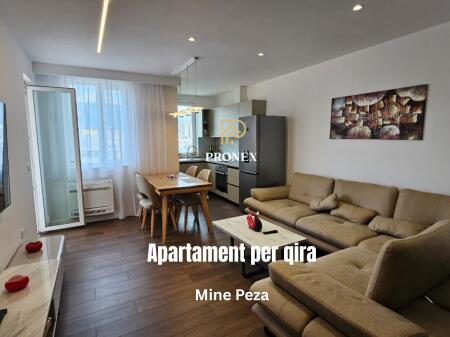 Apartment 2+1 for rent at Mine Peza