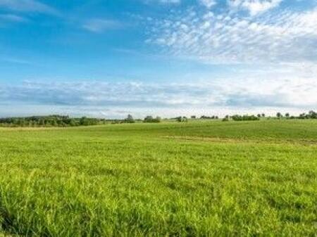 ‼️SHITET TOKE NE MAMINAS ‼️