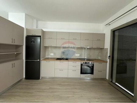 APARTMENT 1+1 EMPTY IN DELIJORGJ FOR RENT