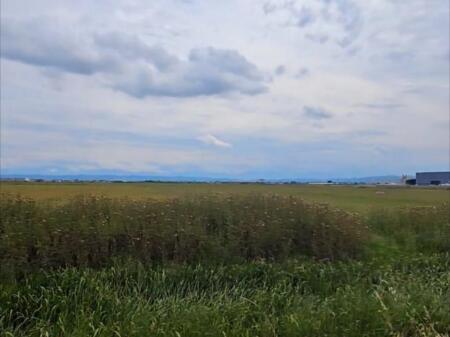 SHITET TOK3 BUZE RRUGE, SEKTOR RINIA DURRES