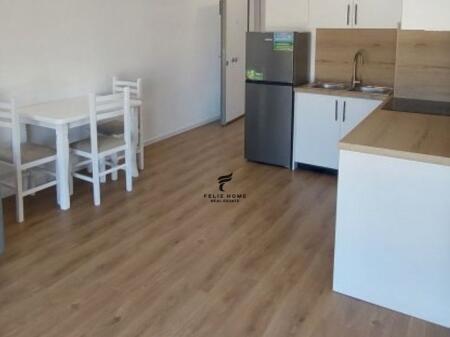 APARTMENT FOR RENT 1+1 ALI DEMI 43,000 LEKE