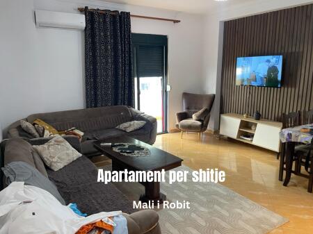 Shitet Apartament 1+1 Mali i Robit