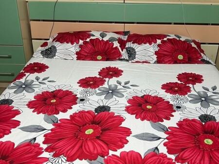 Appartamento 1+1 in Affitto