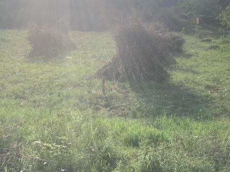 Terreno con ipoteca in vendita a Golem con una superficie di 1840 metri