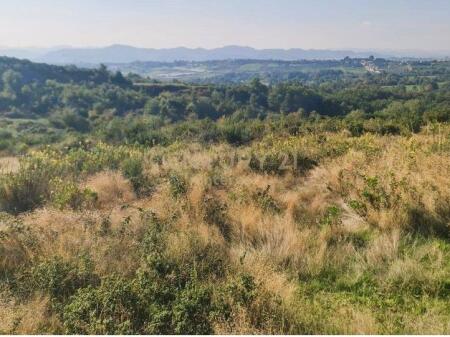 🏗️ Commercial Land for Sale – Priske, Dajt