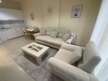 1+1,arredato vicino a square 21,polizia municipale,prezzo 750 mila leke