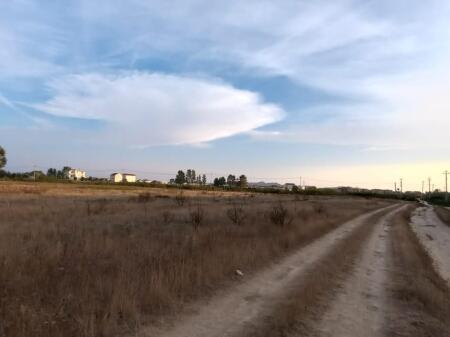 Shitet Toke Bujqesore Sektor Rinia Durres