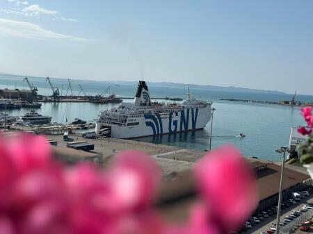 Shitet Apart-Hotel modern me 5 studio të ndara, ideale për investim turistik dhe afatgjatë. 🌊 Pamje fantastike nga deti & projekti i ri Dubai Marina