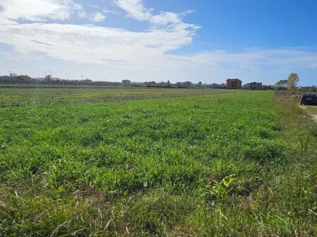 📍 AGRICULTURAL LAND FOR SALE – SHIJAK