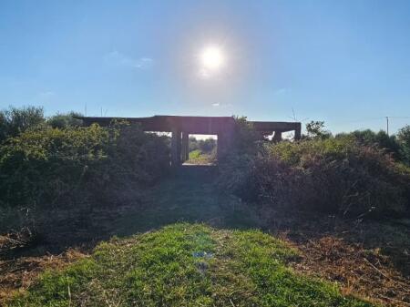 🏡 House + Olive Grove Land for Sale – Ballias, Shijak