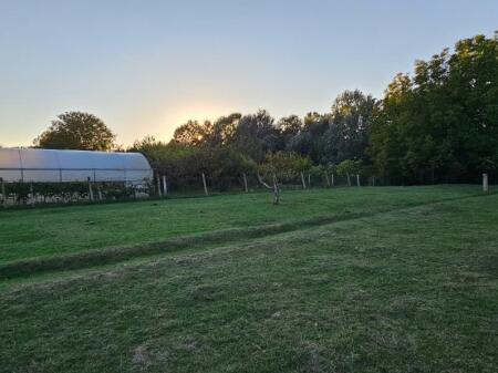 🌿 Land for Sale – ShijakShijak near Agrotourism Gjepali