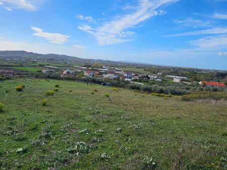 📍 Agricultural Land for Sale in Shijak, near Lake Pjeza