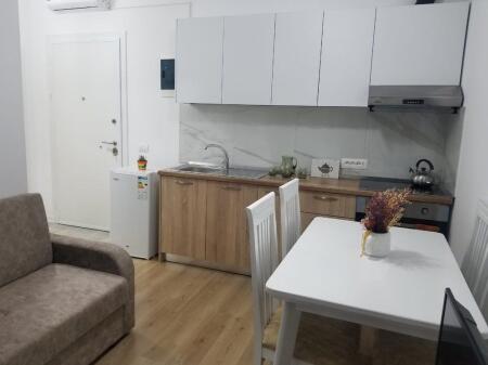 Appartamento 1+1 in Affitto a Ali Demi, Tirana 450 € /Mese