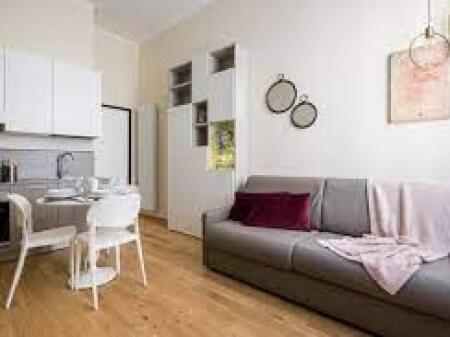 Apartment for rent 1+1 at Ali Demi (ID B2101012) Tirana.​