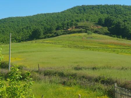 Shitet toke ne Lalez me dokument hipotekor