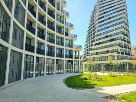 AMBIENT PER ZYRA ME QIRA, LAKE VIEW