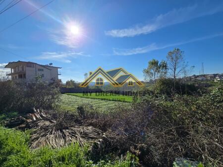 SHITET TOKE NE ARAPAJ DURRES