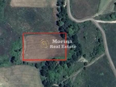 Shitet, Toke Truall, Kryezi Tirane, 300000 euro