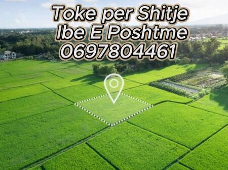 Shesim Parcela toke ne Ibe te poshtme