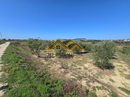 SHITET TOKE MANEZ E PERSHTATESHME PER SHTEPI