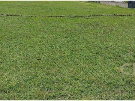 SHITET TOKE 6380m2, NE KAMEZ!! 600,000 €