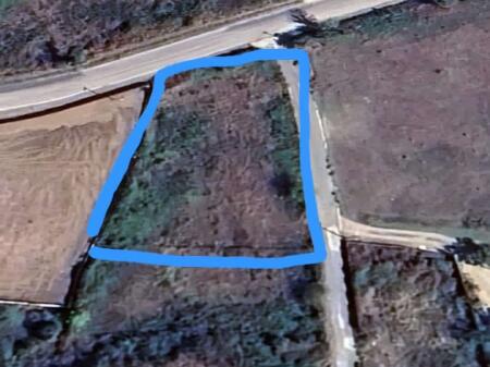 Shitet toke buze rruge ne Berzhite