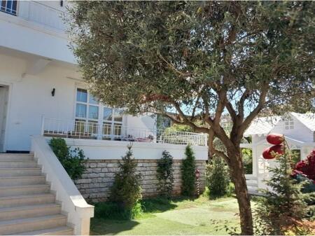 Villa - For Rent - Aleksandër Moisiu Street, Tirana