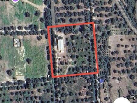 SHITET TOKE NE BORSH ! 360,000 €