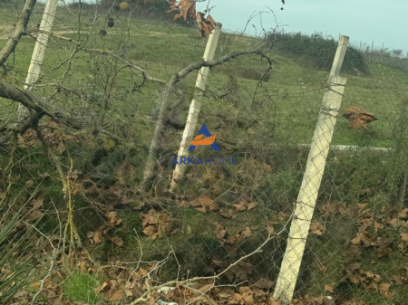 TERRENO IN AFFITTO 600M2 "FARKË" 1000 EURO