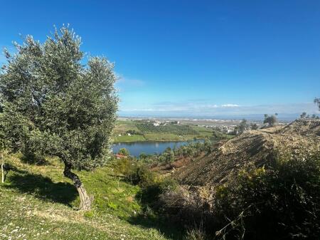 🏡 SHITET TOKË ULLISHTE PRAN AGROTURIZEM ULLISHTJA DURRES