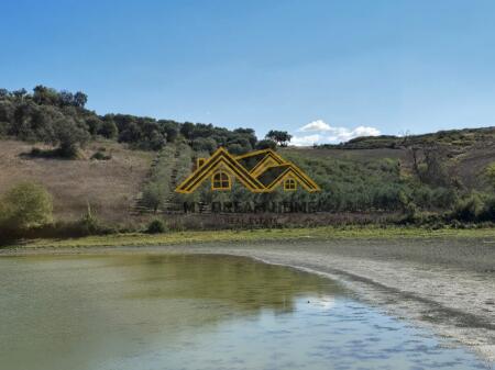 SHITET TOKE ARE NE RROMANAT