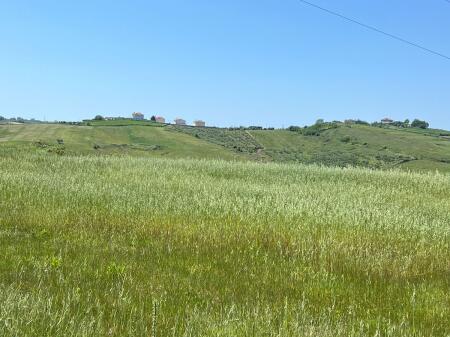 🏡 SHITET TOKË ARE 📍 KODER PJEZE