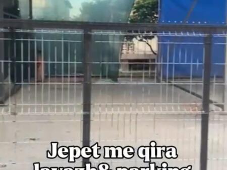 JEPET ME QIRA LAVAZH SE BASHKU ME NJE DYQAN NE KAMEZ