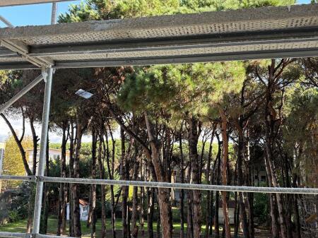 Apartament për shitje në Golem – Mes pishave, relaks dhe komfort! 🌿🏖️