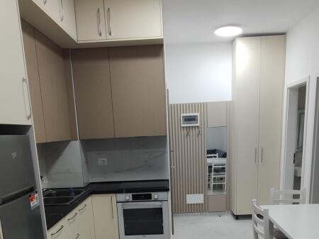 Apartment for rent 1+1 Fresk!