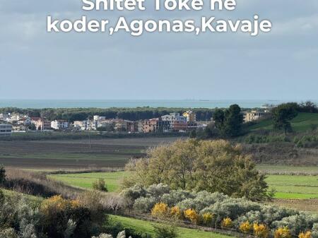 💥 Shitet toke ne koder me pamje deti,Agonas,Golem💥