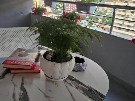 Apartament 1+1 për qira afatgjatë në fillim të Lungomare Vlorë